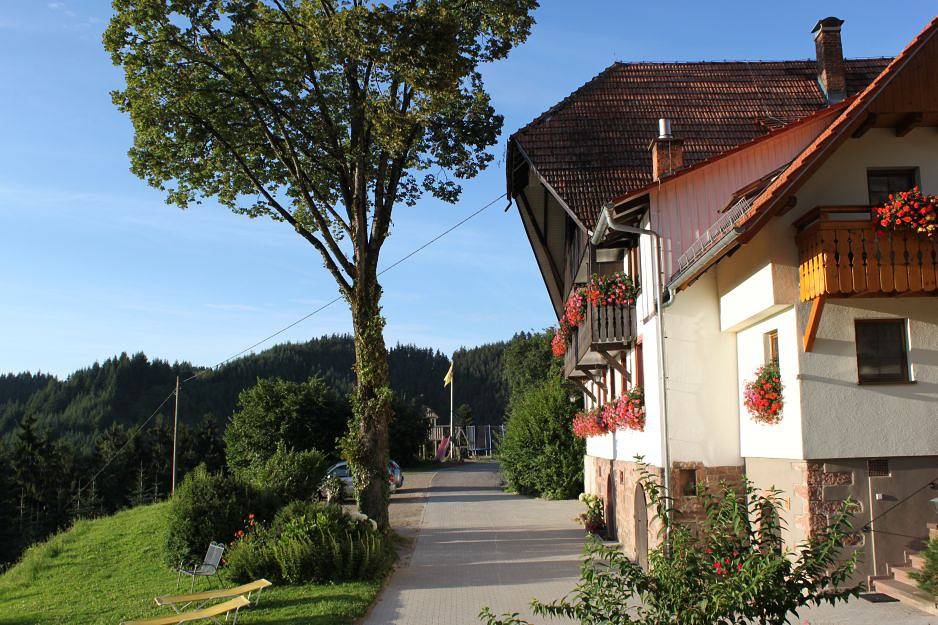 Ganze Ferienwohnung, Ferienhof Hölzleberg - Ferienzimmer "Bauernstube" mit separater Küche in Durbach, Mittlerer Schwarzwald