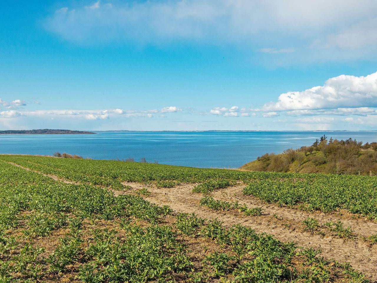 4 Sterne Ferienhaus in Ranum in Limfjord in Nordjütland
