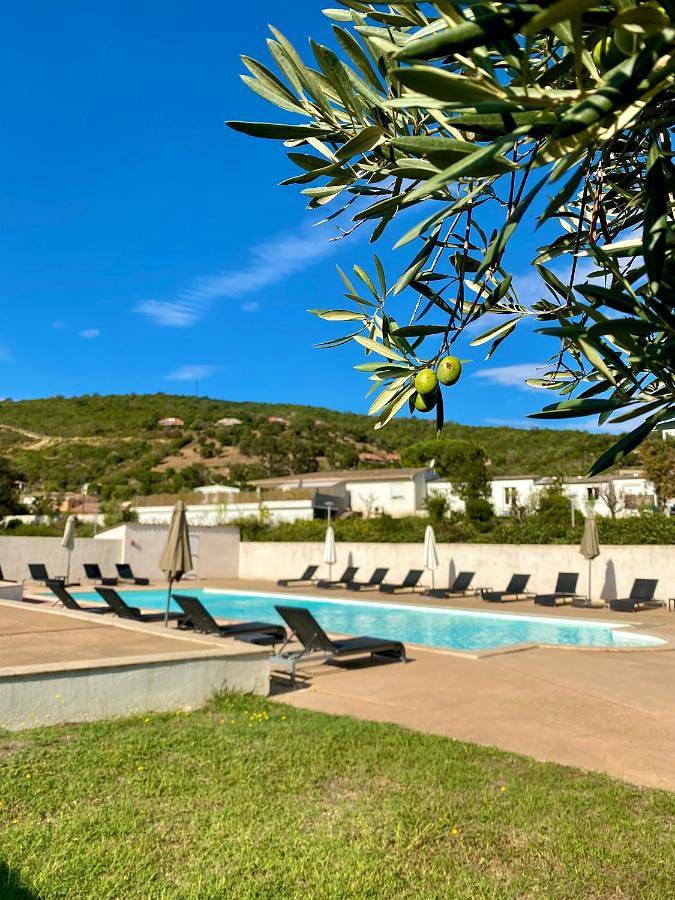 Parc de vacances pour 6 personnes, avec jardin et piscine en Corse - 4