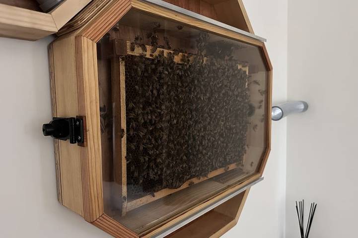 Gîte pour 4 personnes, avec Balcon et Jardin