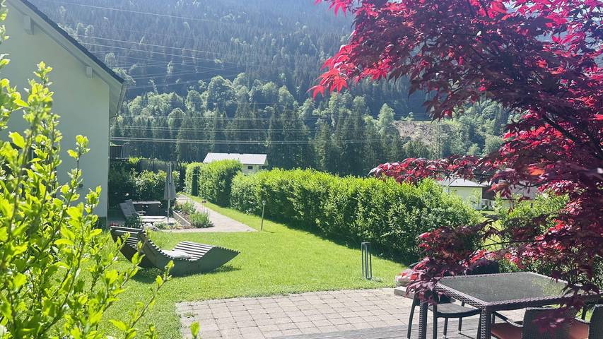 Ferienwohnung für 4 Personen, mit Terrasse und Garten in Dalaas - 2