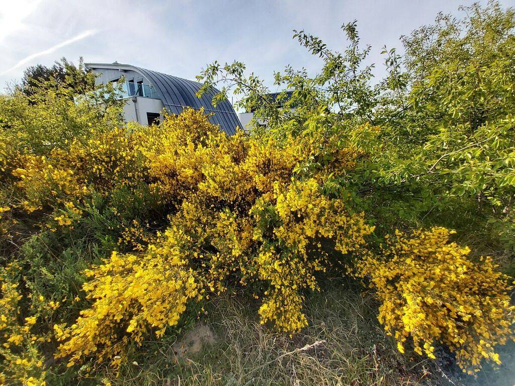 Haus in Darß mit Sauna für 6 Von Belvilla in Pruchten, Vorpommern-Rügen