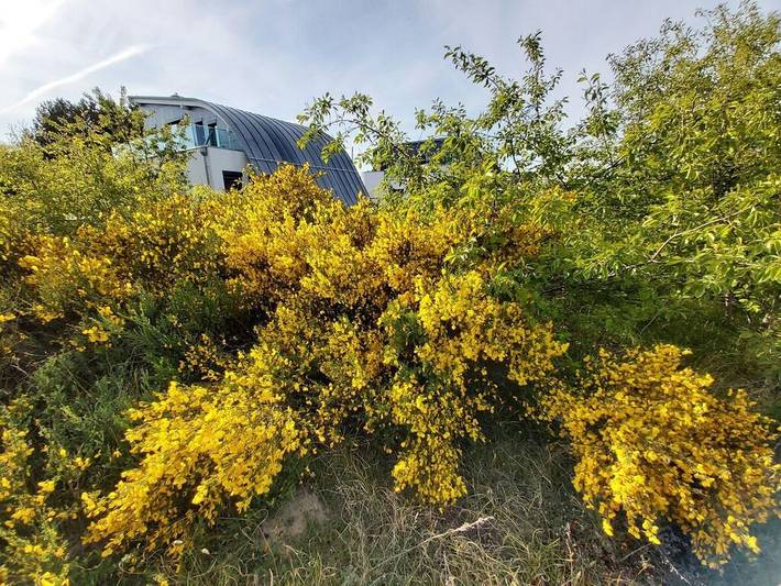 Ferienhaus für 6 Personen, mit Pool und Sauna sowie Garten in Pruchten - 3