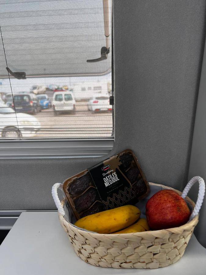 Camping für 4 Personen, mit Ausblick und Terrasse auf Teneriffa - 3