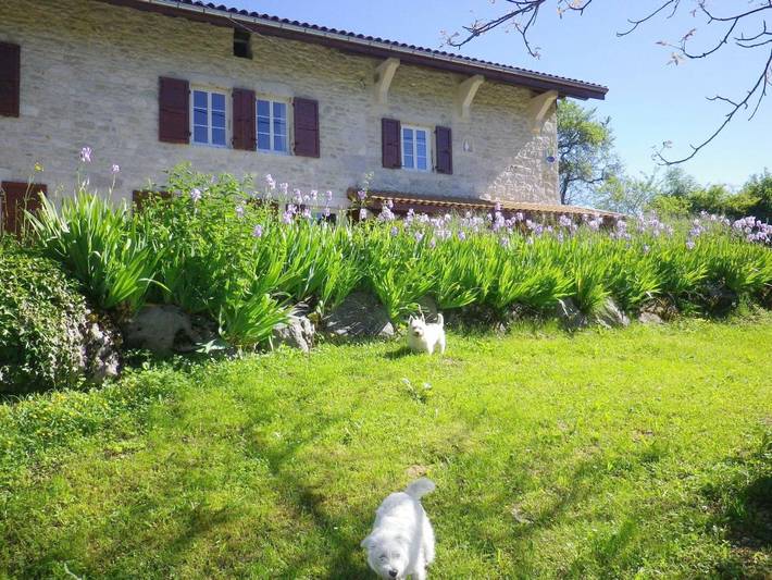 Cottage pour 2 personnes à Chevillard (Ain)