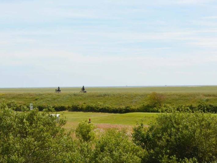 Ferienwohnung für 3 Personen, mit Balkon, mit Haustier in Böhl (St. Peter-Ording) - 4