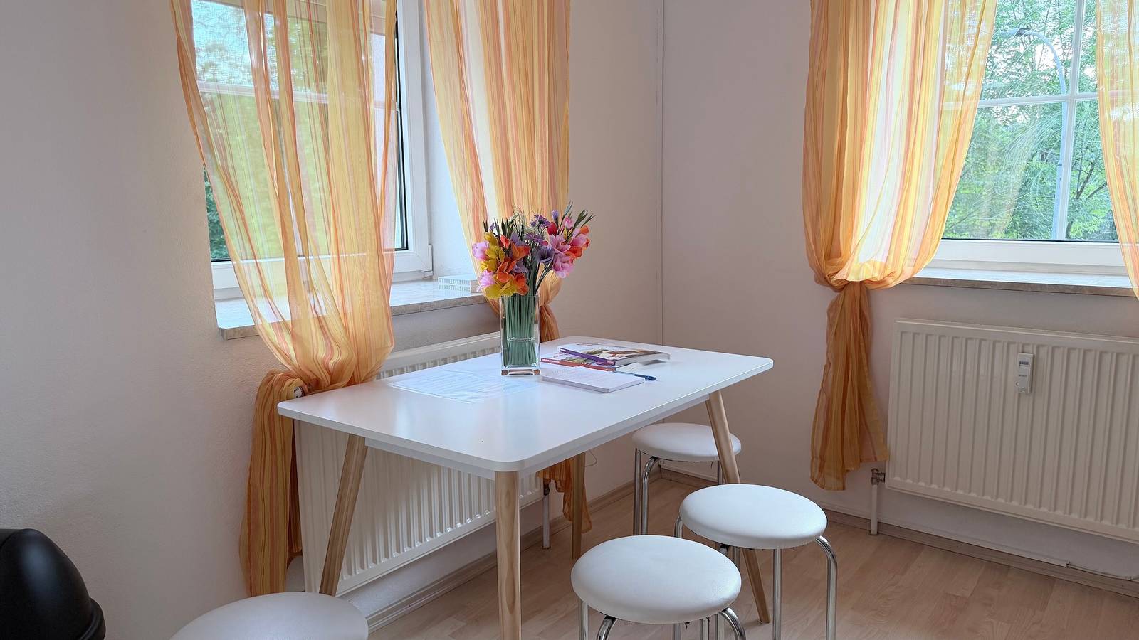 Holiday Home 'Zentrale Altbauwohnung' with Wi-Fi in Leoben, Lavanttaler Alpen