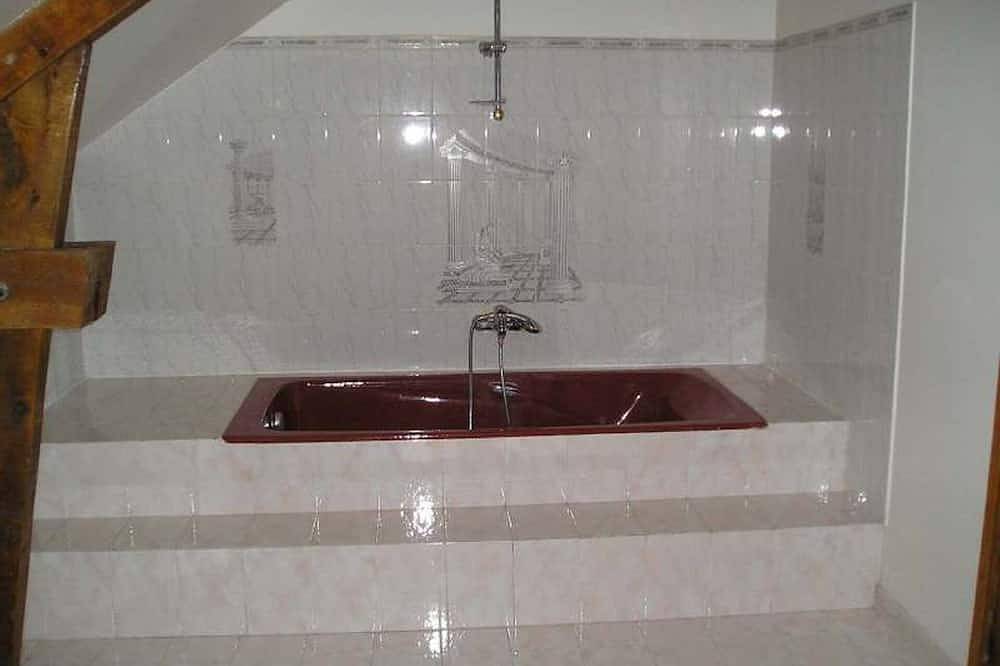 Gîte anniversaires et fêtes à 1 heures de Paris 31 couchages+salle 70 personnes in Courtenay, Région de Montargis