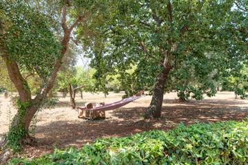 Agriturismo per 2 Persone in San Michele Salentino, Valle D'Itria, Foto 1