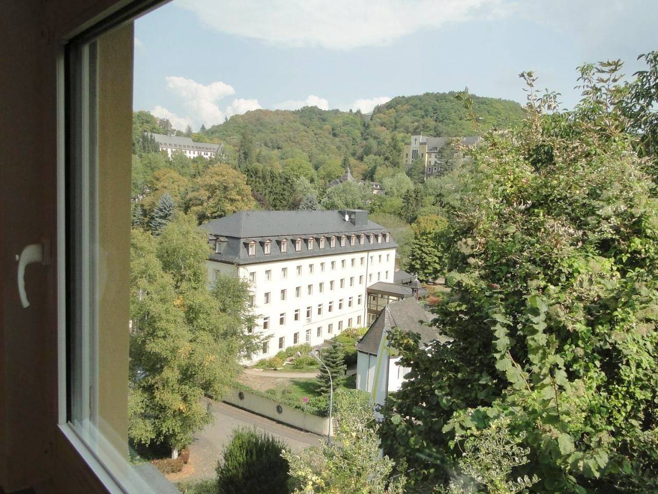 Budget Single Room in Vallendar, Osteifel