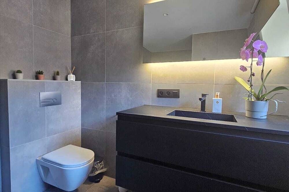 Double Room with kitchen(1) in Gent, Ostflandern