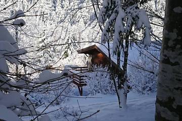 Gîte pour 7 personnes, avec sauna et jardin à Mittlach