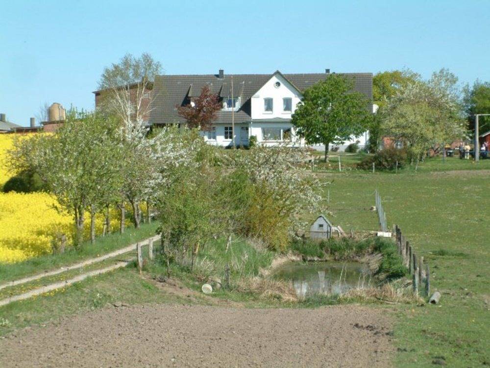 Hansenhof - Kornblume in Kappeln, Kappeln & Umgebung