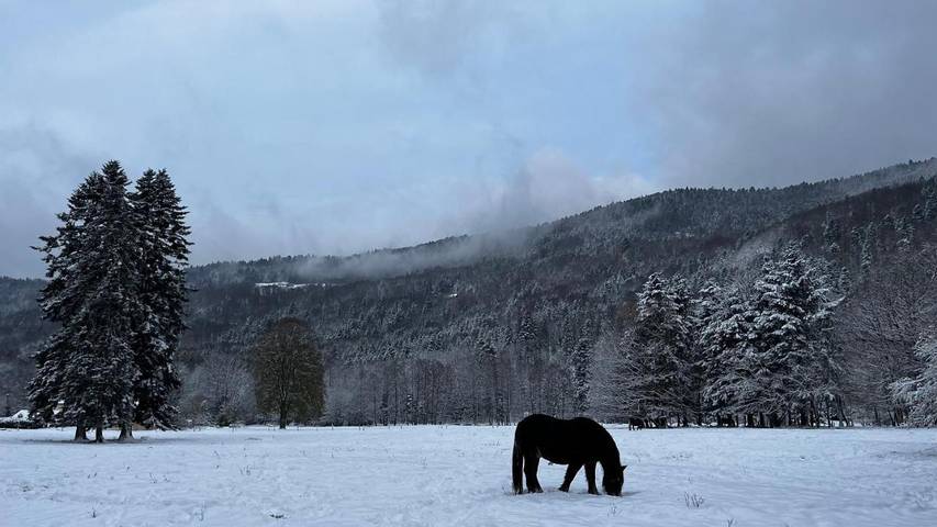 Maison de vacances pour 2 personnes dans Territoire de Belfort - 3