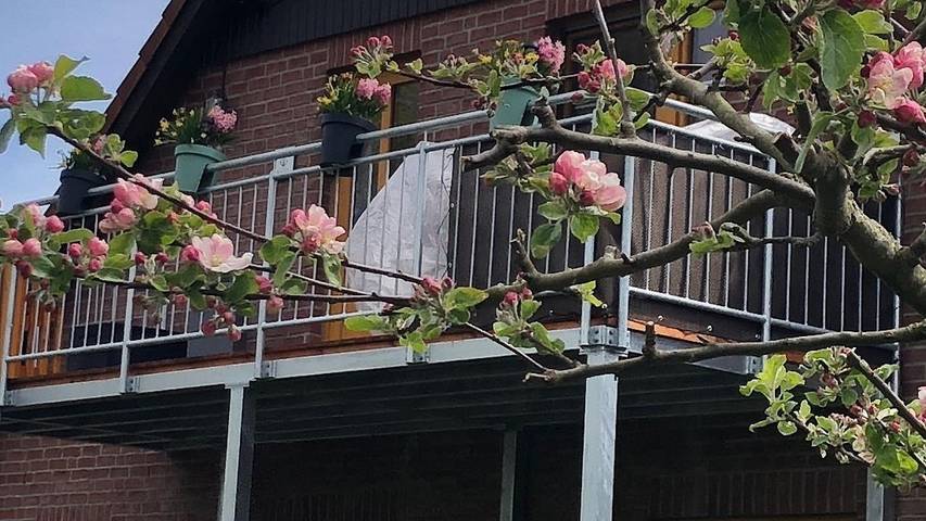 Ferienwohnung für 8 Personen, mit Garten in Osterbruch