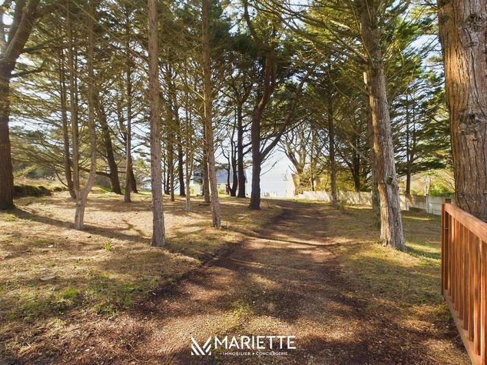 Location de vacances pour 6 personnes, avec jardin et terrasse, animaux acceptés dans Rospico - 4