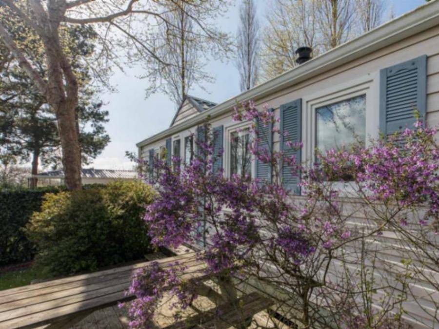 Camping Paradis Les Capucines - Mobilhome 4 personnes - Confort in Trédrez-Locquémeau, Ceinture Dorée
