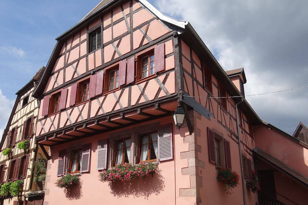 Appartement entier, Spacieux gîte climatisé  2 à 4 pers in Ribeauvillé, Parc naturel régional des Ballons des Vosges