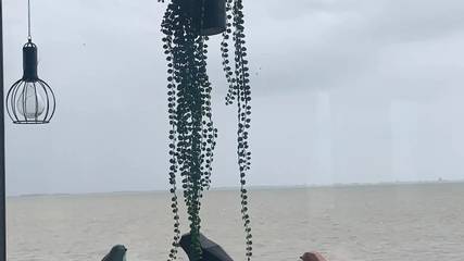 Ferienhaus für 4 Personen in Wieringen, Ijsselmeer, Bild 1