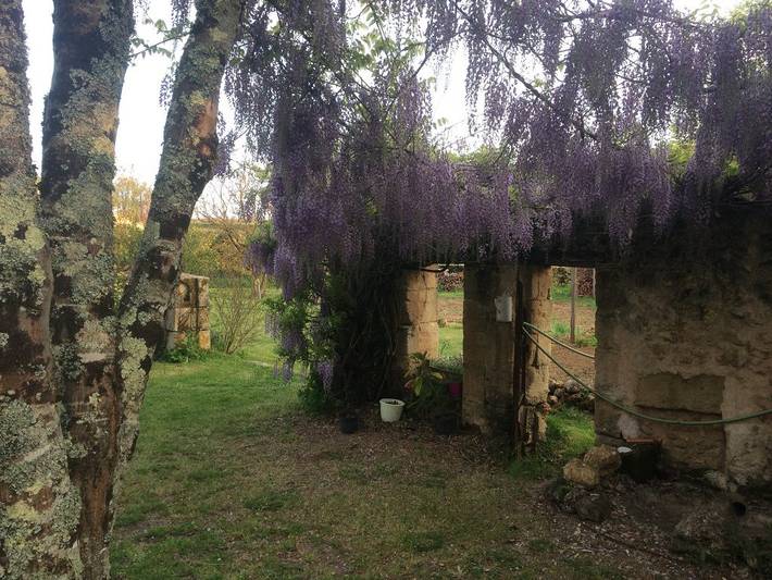 Chambre d’hôte pour 2 personnes, avec sauna et jardin, animaux acceptés en Gironde - 4