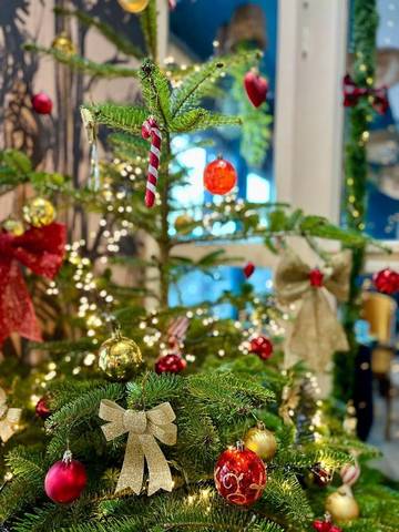 Hôtel pour 2 personnes, avec vue dans Office De Tourisme De Cherbourg Cotentin
