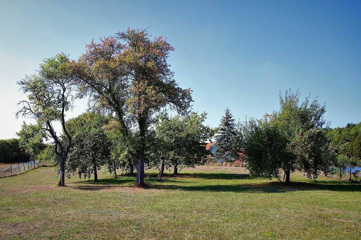 Ferienwohnung für 6 Personen, mit Balkon und Garten in Obertrubach - 2