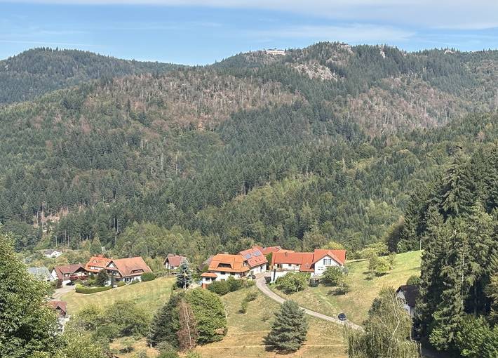 Ferienwohnung für 5 Personen, mit Balkon in Nationalpark Schwarzwald - 2