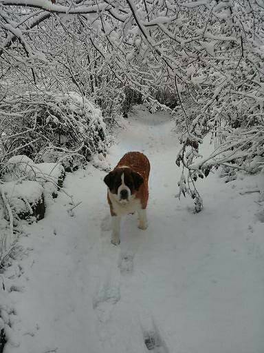 Gite Mazut de Lagarde in Raulhac, Région d'Aurillac
