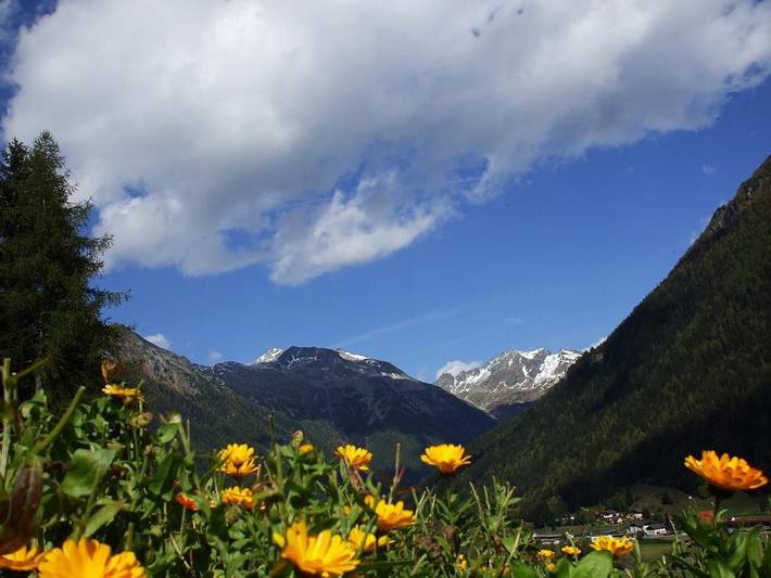 Ferienwohnung für 3 Personen, mit Haustier in Lieser-Maltatal - 3