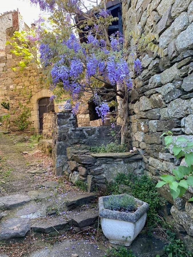 Location de vacances pour 4 personnes, avec jardin à Sablières - 2