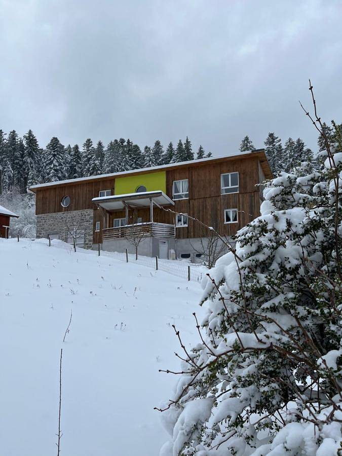 Location de vacances pour 2 personnes, avec vue ainsi que jardin et balcon à Xonrupt-Longemer