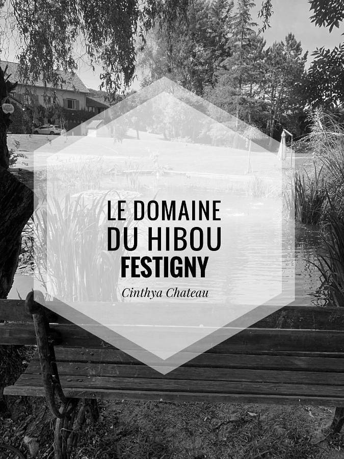 Gîte pour 2 personnes, avec Terrasse ainsi que Jardin et Vue à Festigny