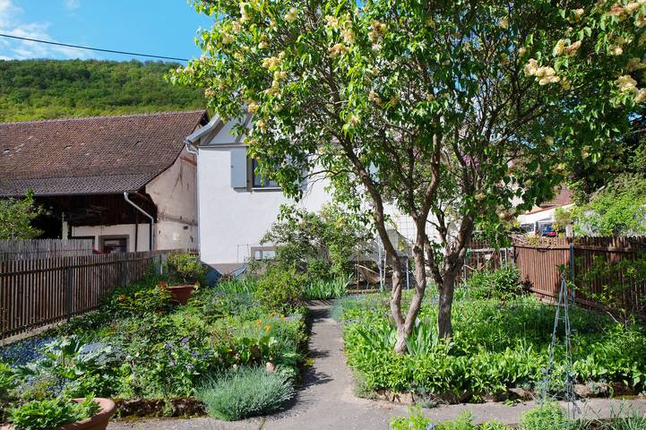 Ferienhaus für 4 Personen, mit Garten in Badenweiler - 2