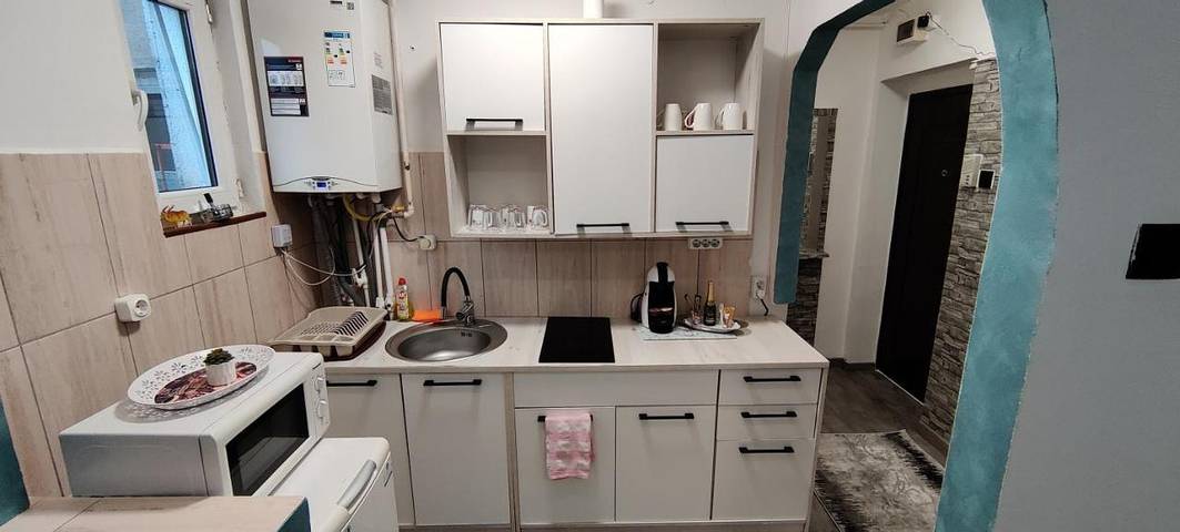 Gîte pour 4 personnes, animaux acceptés dans Mureș - 2