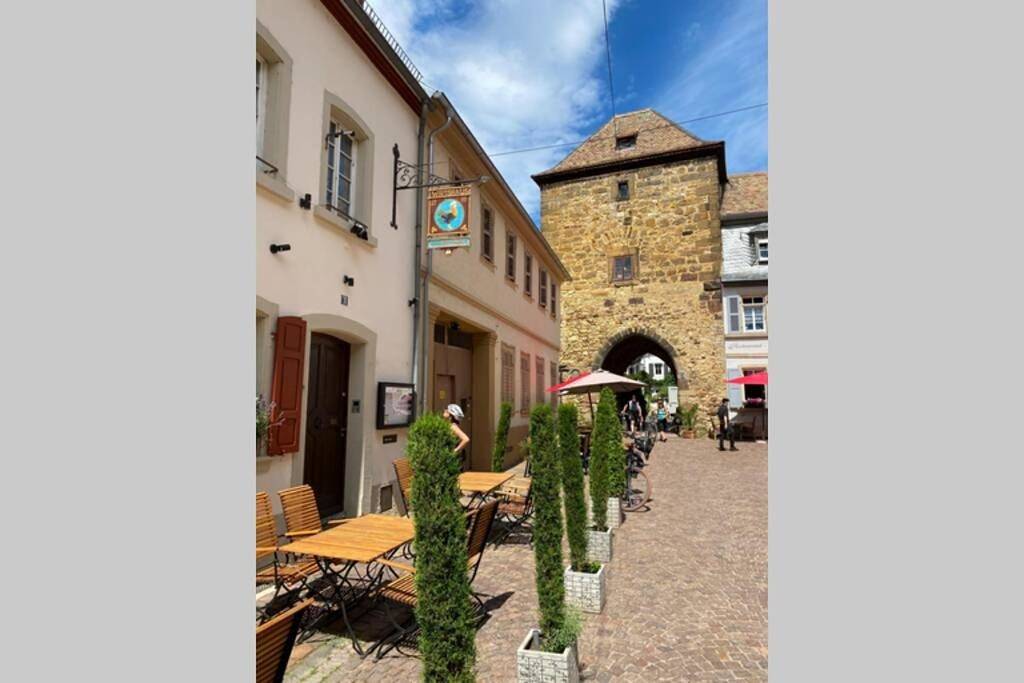 Ruhe und Entspannung in Pfälzer Rheinebene