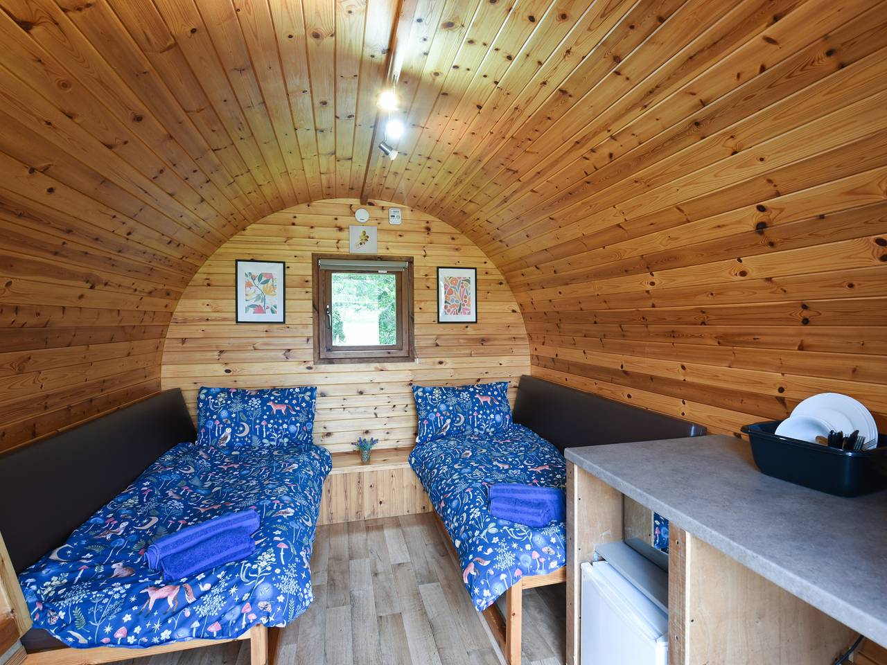 Beech - Glamping Pod - Uk49945 in Shropshire