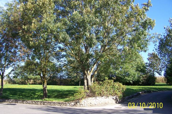 Appartement de vacances pour 7 personnes, avec jardin et terrasse, animaux acceptés dans Rhône - 4