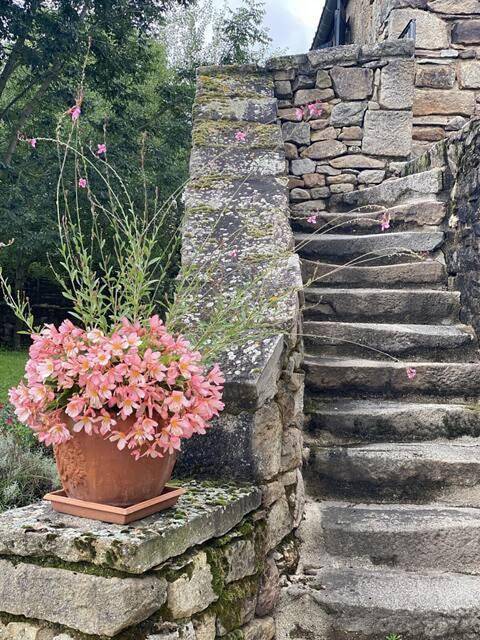 Location de vacances pour 10 personnes, avec sauna et jardin ainsi que piscine et vue, animaux acceptés à Lacapelle-Ségalar