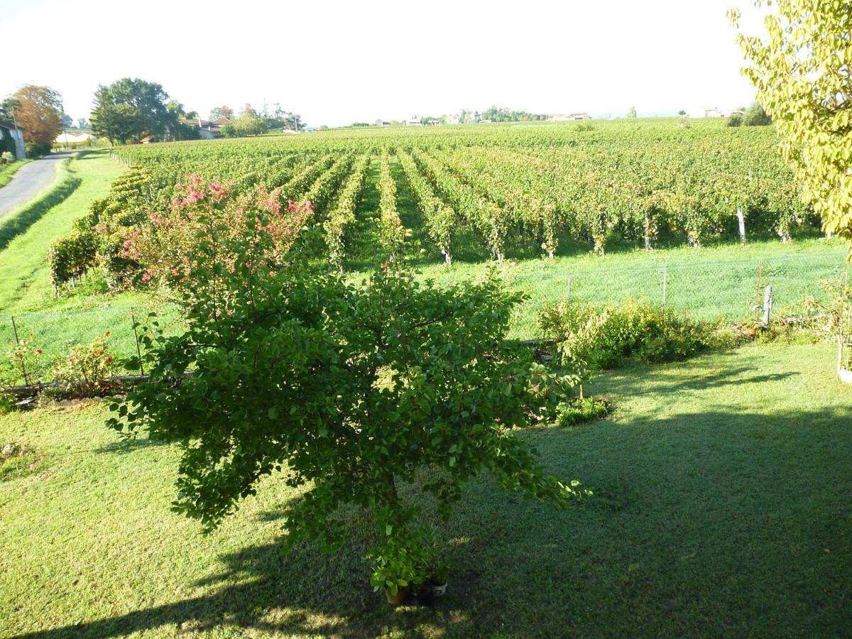 Le Clos des Rosiers in Saint-Émilion, Région de Libourne
