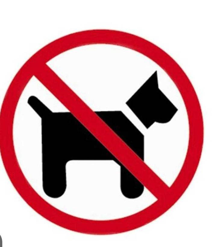 Ferienwohnung für 6 Personen in Siofok - 2