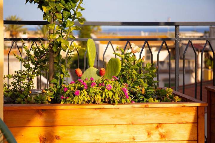 Gîte pour 2 personnes, avec terrasse à Santa Flavia - 4