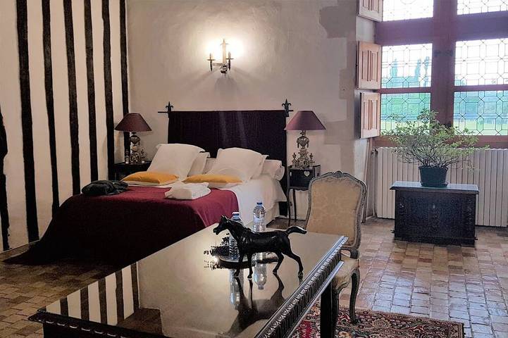 Château pour 8 personnes, avec jardin dans la Sarthe - 3