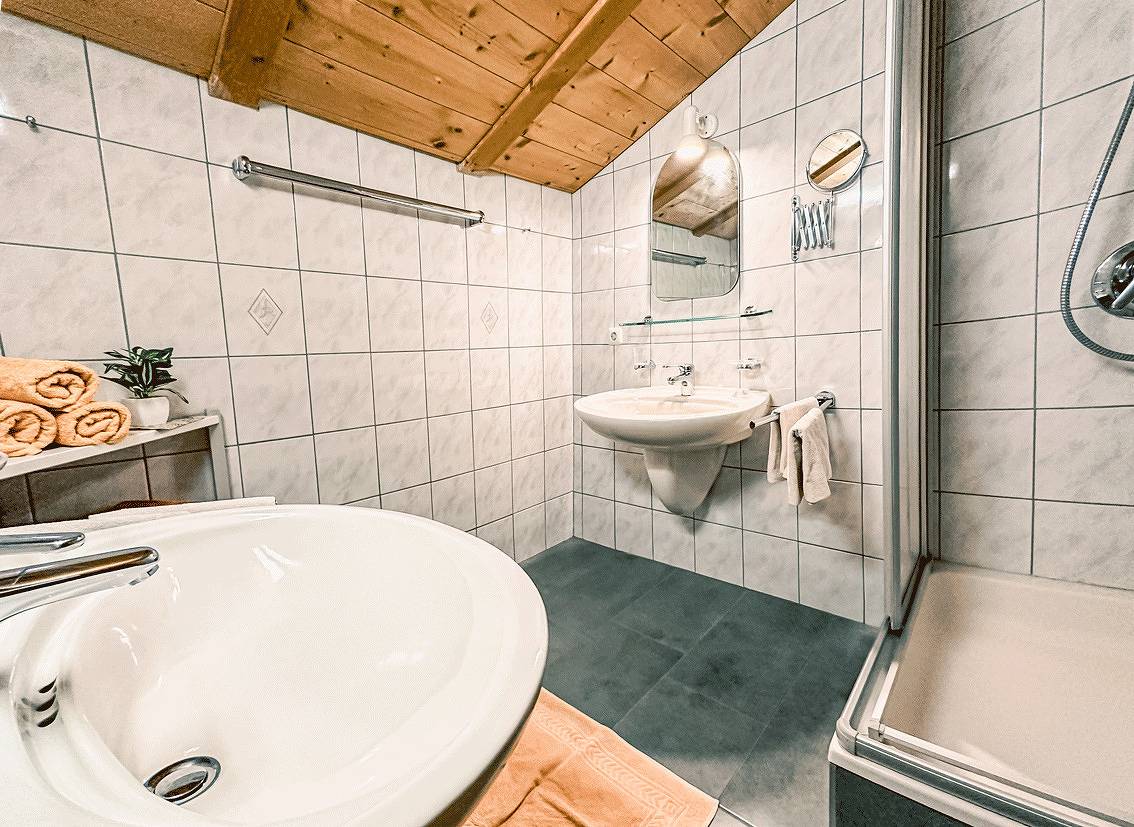Apartment Almrausch in Dienten am Hochkönig, Ski Amadé