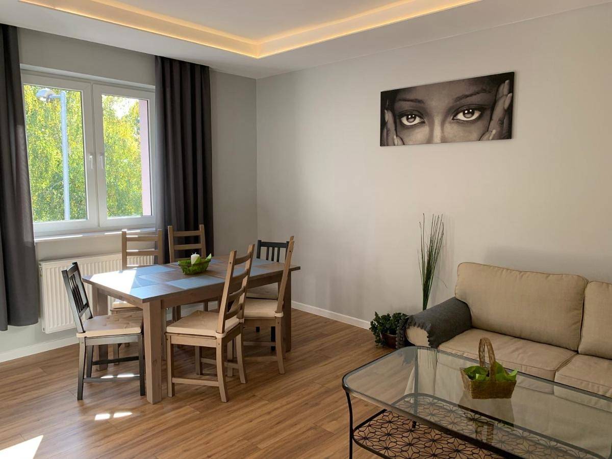 Cały apartament, Grey apartment 50 m2 in Tarnowskie Góry, Śląsk