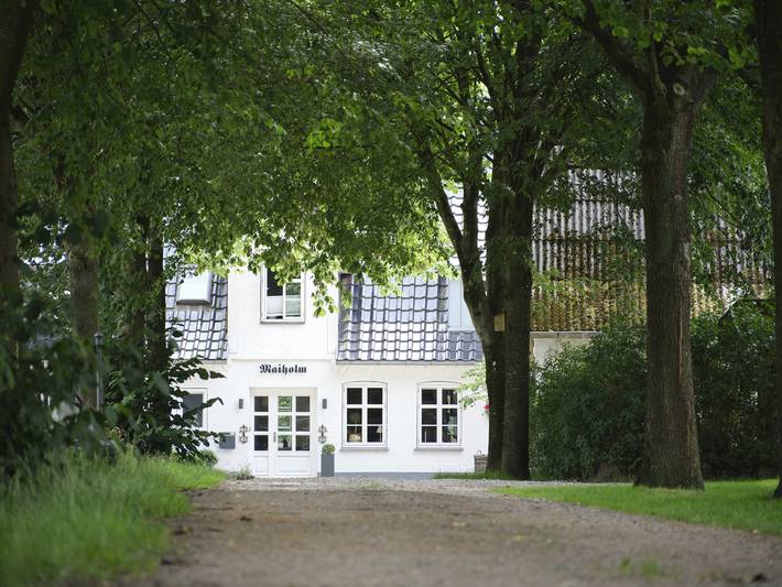 Ferienwohnung für 4 Personen, mit Sauna, kinderfreundlich in Medelby