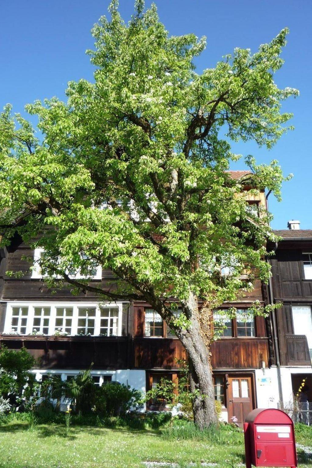 Appenzell House in Wolfhalden, Vorderland