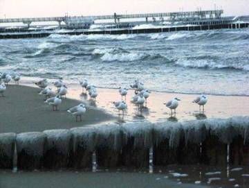 Bungalow für 5 Personen in Koserow, Usedom, Bild 1