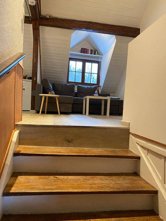 Ferienwohnung für 3 Personen, mit Ausblick in Bensheim - 3