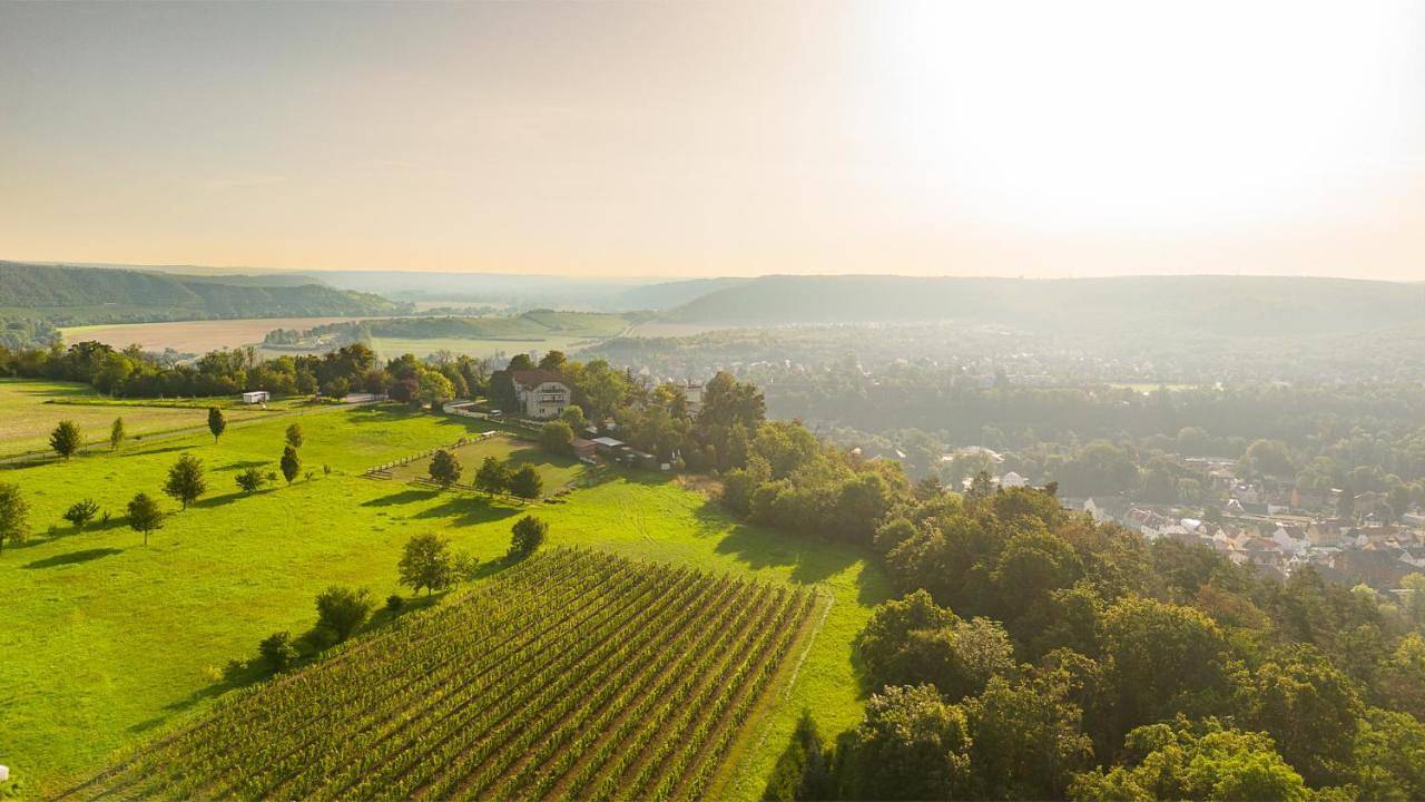 Berghotel Wilhelmsburg in Naumburg, Saale-Unstrut