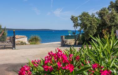 Villa für 6 Personen in Lošinj, Kvarner Inseln, Bild 1